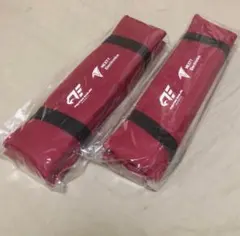 ファイティングイーグルス名古屋 シートクッション 2つセット FE名古屋