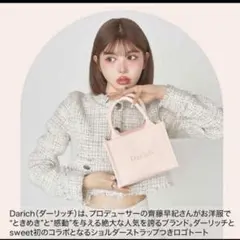 【未使用】Darich ダーリッチ ショルダーストラップつきロゴトート