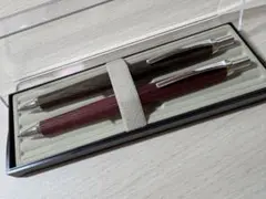 レグノ　ディープレッド（新品未使用）とダークブラウン（数回使用）　2本セットのサムネイル