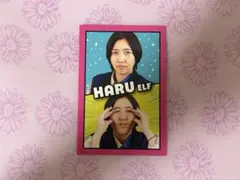 エルフ はる よしもとコレカ
