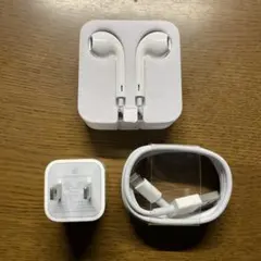 Apple EarPods & 5W USB充電器セット