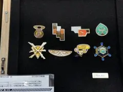2026年最新】ジムバッジコレクションコンプリートセットの人気アイテム