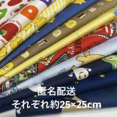 生地　絵本キャラ　ハギレ10枚セット アソート 人気　カラフル