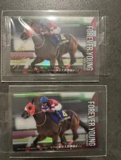 FOREVER YOUNG サイン入りカード 2枚セット