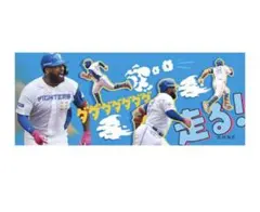 ファイターズ レイエス タオル franmil-reyes-damatke-face-