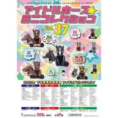 サラブレッド　ミニコレクション　リバティアイランド