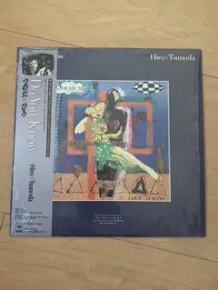 Hiro Tsunoda Do You Know 未開封レコード
