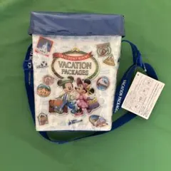 東京ディズニーリゾート　ポップコーンバケット