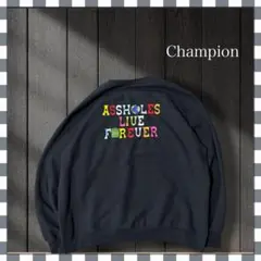7535/チャンピオン 文字両面刺繍ロゴ スウェット2XL