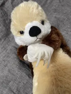 2025年最新】マリンワールド ラッコの人気アイテム - メルカリ