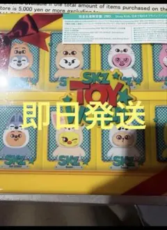 スキズ SKZ TOY WORLD 完全生産BD ※トレカ、IDフォト無