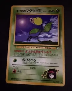 エリカのタマタマLV.15 ◇ ジム拡張第1弾 リーダーズスタジアム - メルカリ