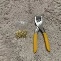 Item thumbnail for item 3c499550-9a25-4c4b-9a5e-ea04f5c87786