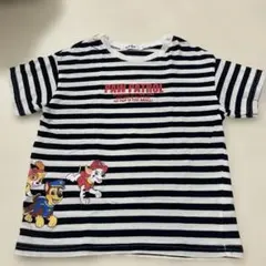 PAW PATROL ストライプTシャツ 120