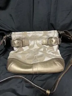 美品 コーチ COACH ショルダーバッグ ハンドバッグ 13833 ミニバッグ 