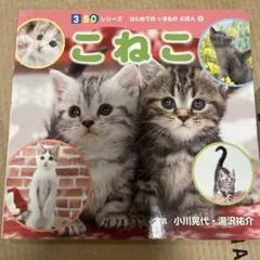 M様 リクエスト 2点 まとめ商品