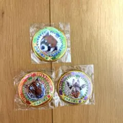 のんほいパーク　缶バッジ　2025年 レッサーパンダ トラ キリン　どうぶつ博士