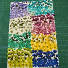 ちゅるはるpueril handmade様 リクエスト 2点 まとめ商品