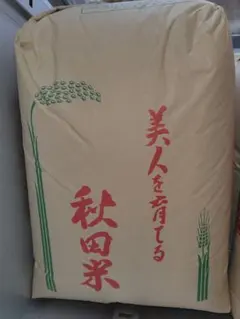 農家直送 秋田県産 令和7年 あきたこまち 15kg 【白希】 - メルカリ