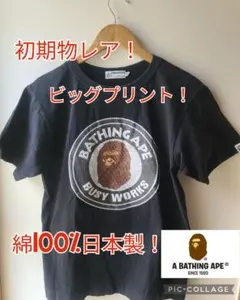 Item thumbnail for item 693c9cd6-0025-4f90-b091-ccefbce7830d