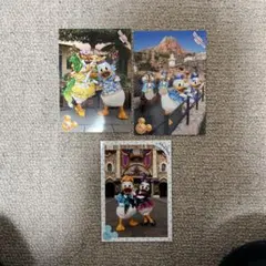 スペシャルフォト ドナルド デイジー