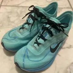 Item thumbnail for item 4f79dcb1-26fb-4a03-87c2-9fafc8263a4e