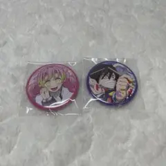 鬼滅の刃　柱稽古編　関係者記念本　缶バッジ　甘露寺蜜璃　伊黒小芭内