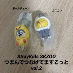 StrayKids SKZOOつまんでつなげてますこっと vol.2