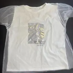 シースルー袖 ホワイトTシャツ