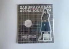 Item thumbnail for item 8974a494-8725-469e-849d-b0891c70c6ff