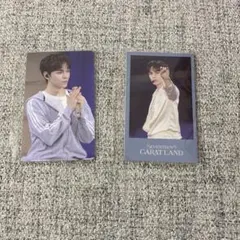 SEVENTEEN CARAT LAND VOC 購入特典　バーノン