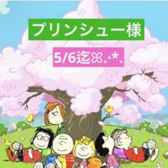 プリンシュー様 専用ページ