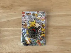 2026年最新】ポケモンセンタートウキョーDX ピンズの人気アイテム