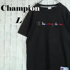 【レトロ古着】チャンピオン センター 刺しゅうロゴ デカロゴ Tシャツ L