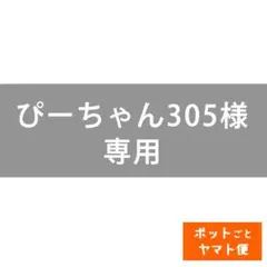 ぴーちゃん305【ポットごとヤマト便353】ヤマアジサイ　幼苗　おりひめ ぴーちゃん305様専用【ポットごとヤマト便】6点ヤマアジサイ - メルカリ