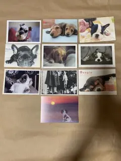 犬のポストカードセット 58枚