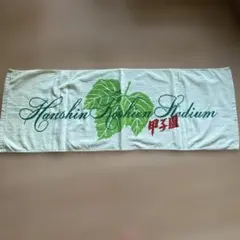 Hanshin Koshien Stadium 応援タオル