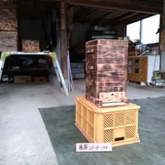 Item thumbnail for item 2b88c2e4-c8e0-43d3-975a-9820d7baf77a