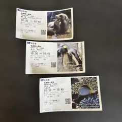 海遊館 入館券 大人2枚 幼児1枚セットのサムネイル