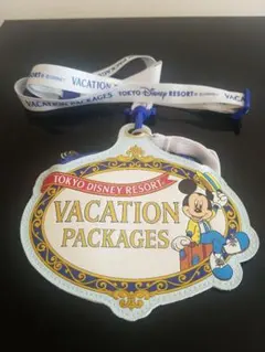 【出品年内まで】【非売品】ディズニー チケットホルダー バケパ