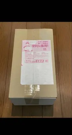 【新品未開封】ポケモンセンター ヒロシマ スペシャルBOX