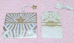 【✨即購入大歓迎✨】スターチャーム付きDIOR ショッパー袋セット