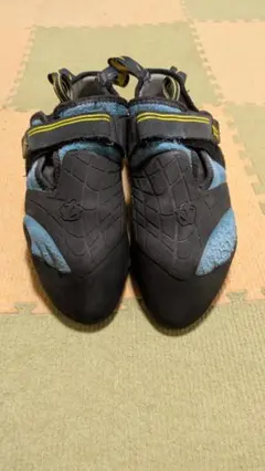 Item thumbnail for item 0e74a28a-f31d-49f0-bb8b-32f3cd8c2e4f