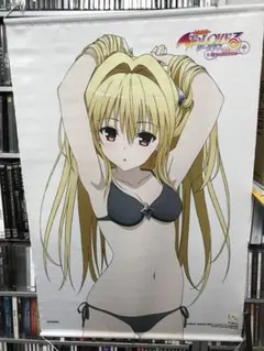 ToLOVEる とらぶるダークネス ヤミ 透視クリアファイル 当選 ジャンプ