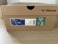 ☆期間限定☆値下げ☆ MizunoミズノALMIGHTY E安全靴 26.5cm - メルカリ