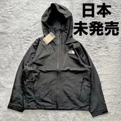 【日本未発売】韓国限定 THE NORTH FACE ジャケット　ブラック