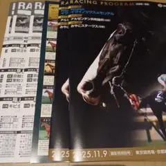 11/8.9 JRA レーシングプログラム 26
