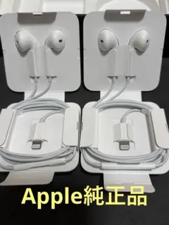 iPhone 純正 イヤホン　ライトニング　アップル　２点セット