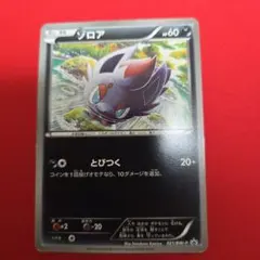 2026年最新】ポケモンカード ゾロア 116/BW-P プロモの人気アイテム