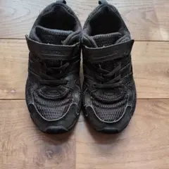 キッズスニーカー 瞬足20cm